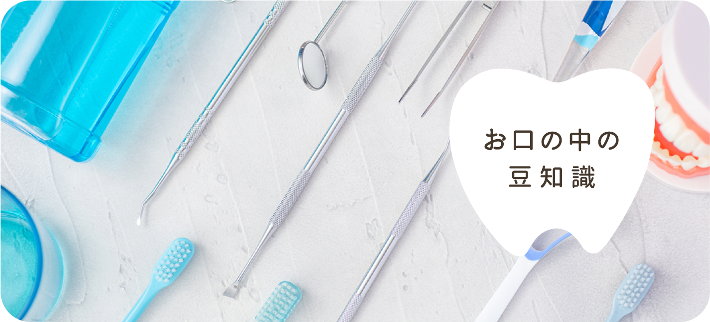 お口の中の豆知識