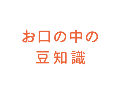 お口の中の豆知識